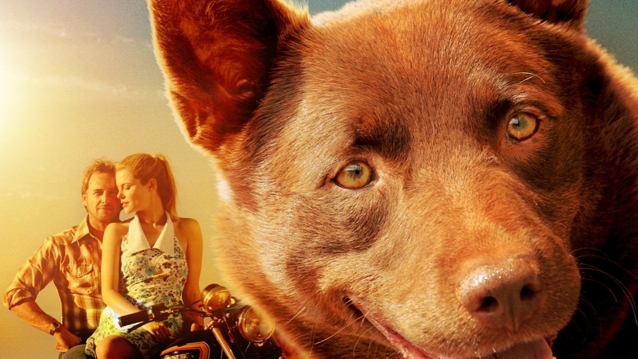 Red Dog