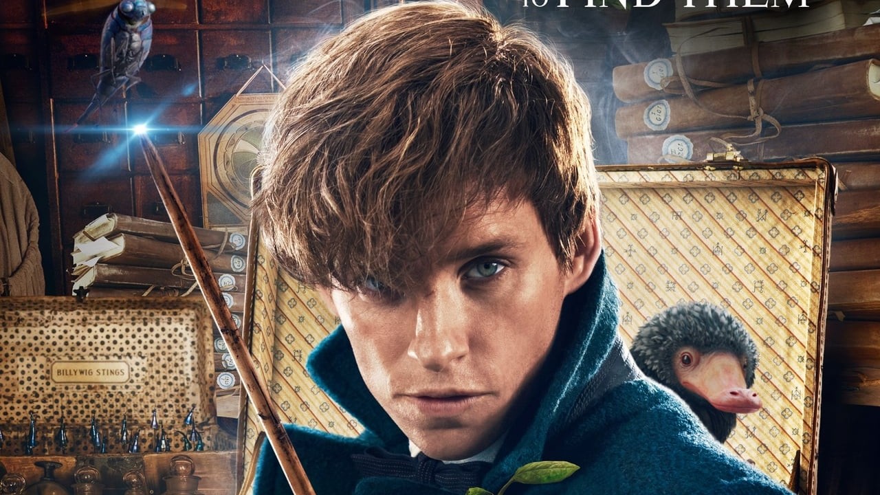 Fantastic Beasts and Where to Find Them
