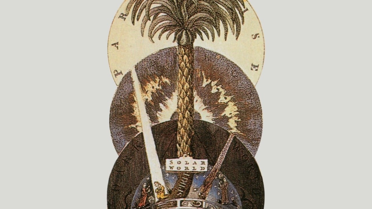 Knight of Cups