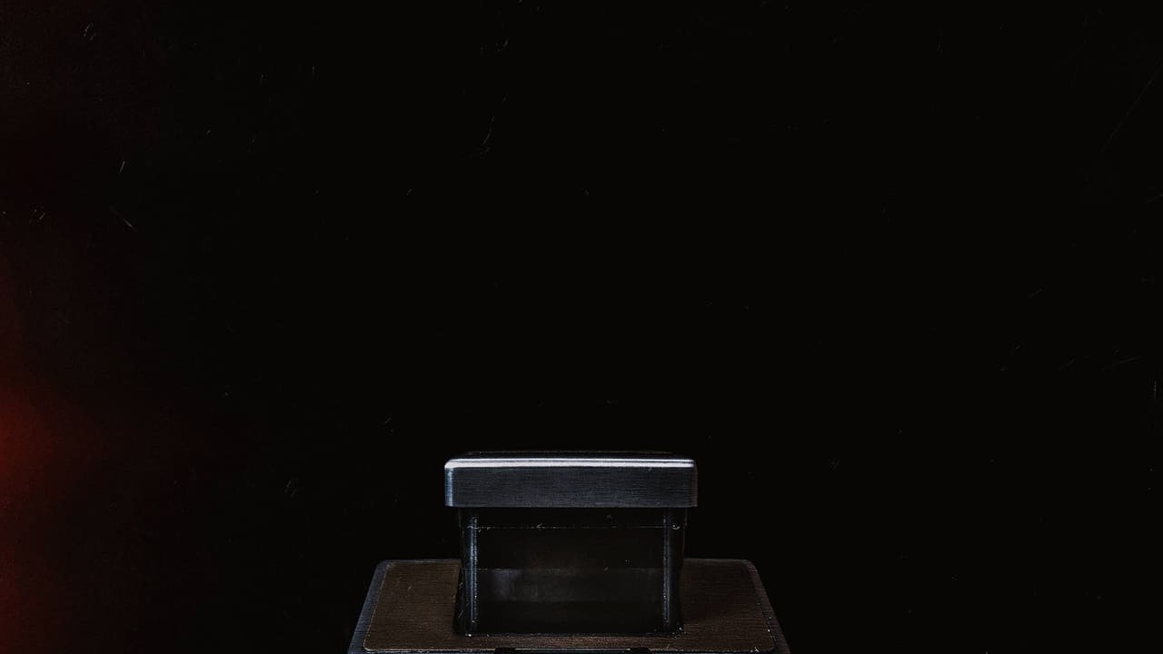 Polaroid