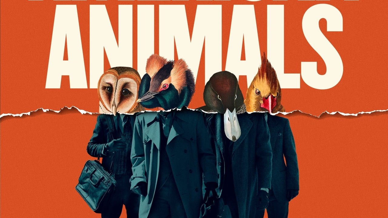 American Animals