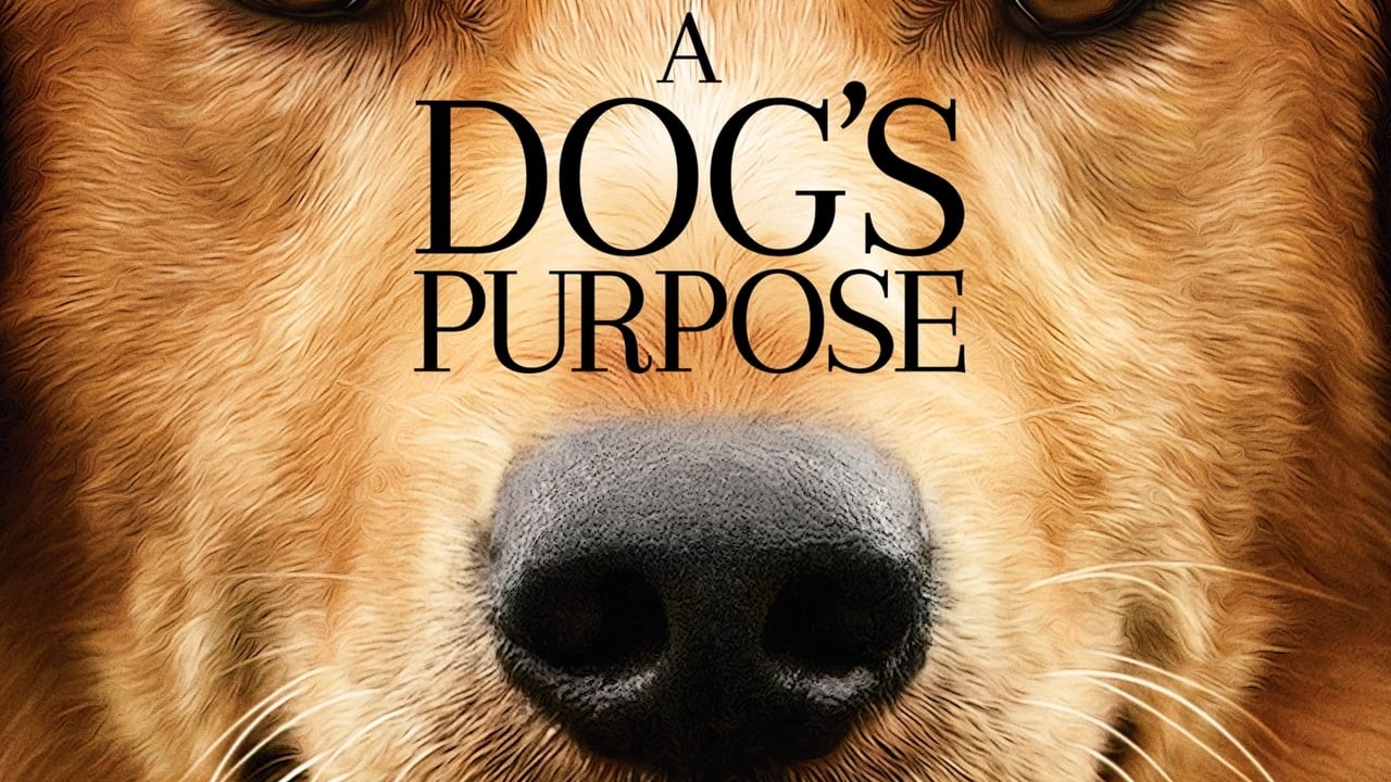 A Dog's Purpose
