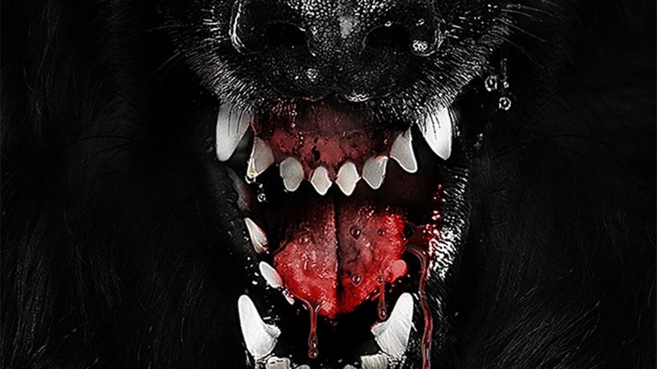 The Pack