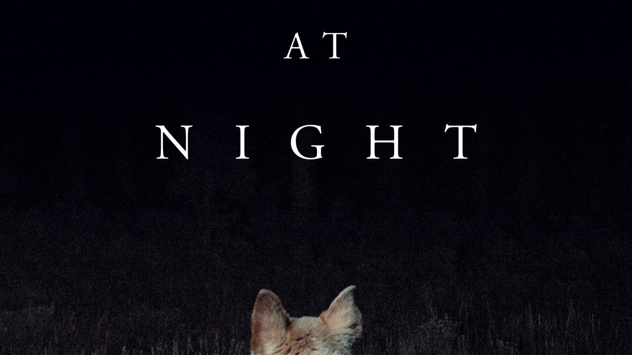 It Comes at Night