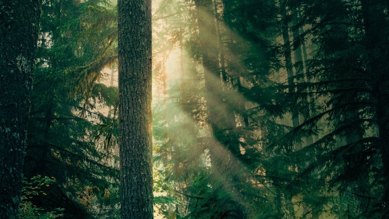 Leave No Trace