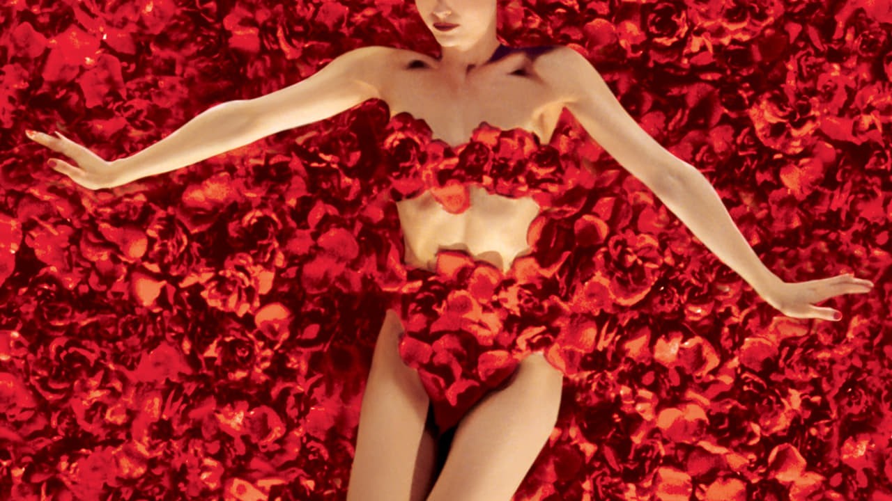 American Beauty