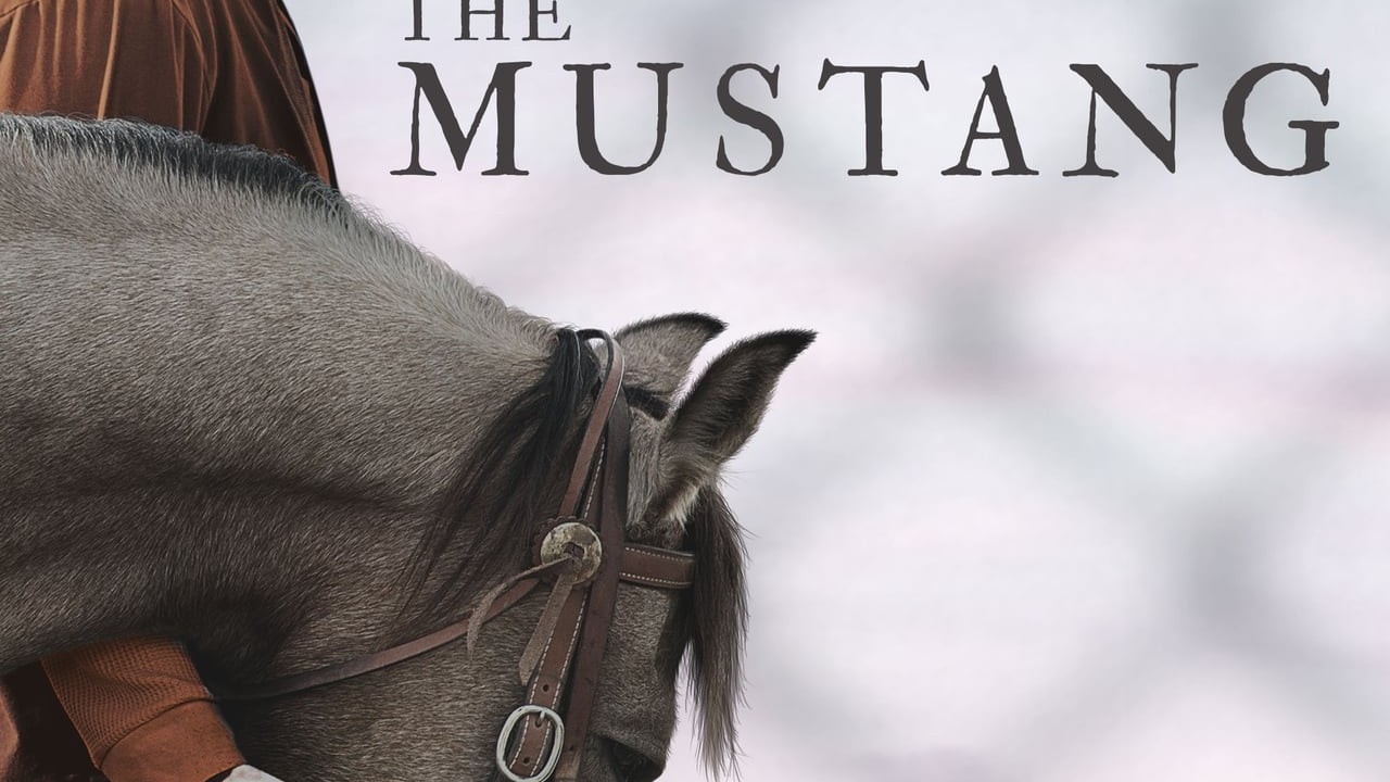 The Mustang