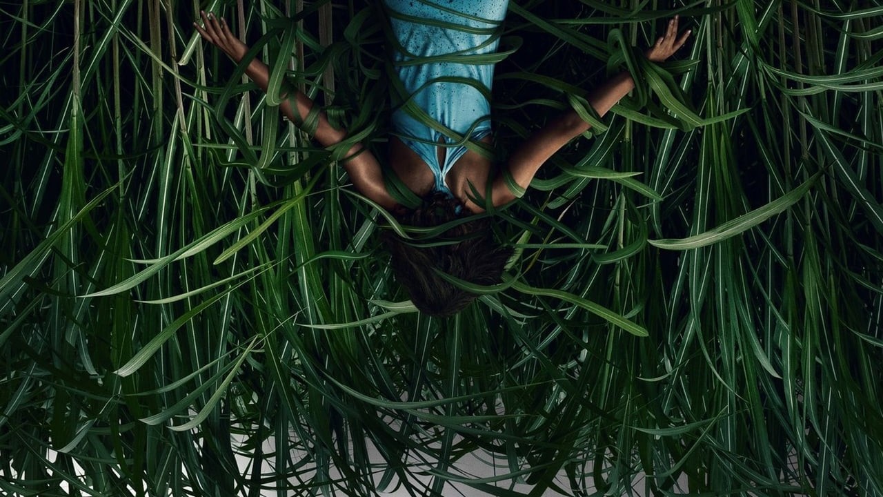 In the Tall Grass