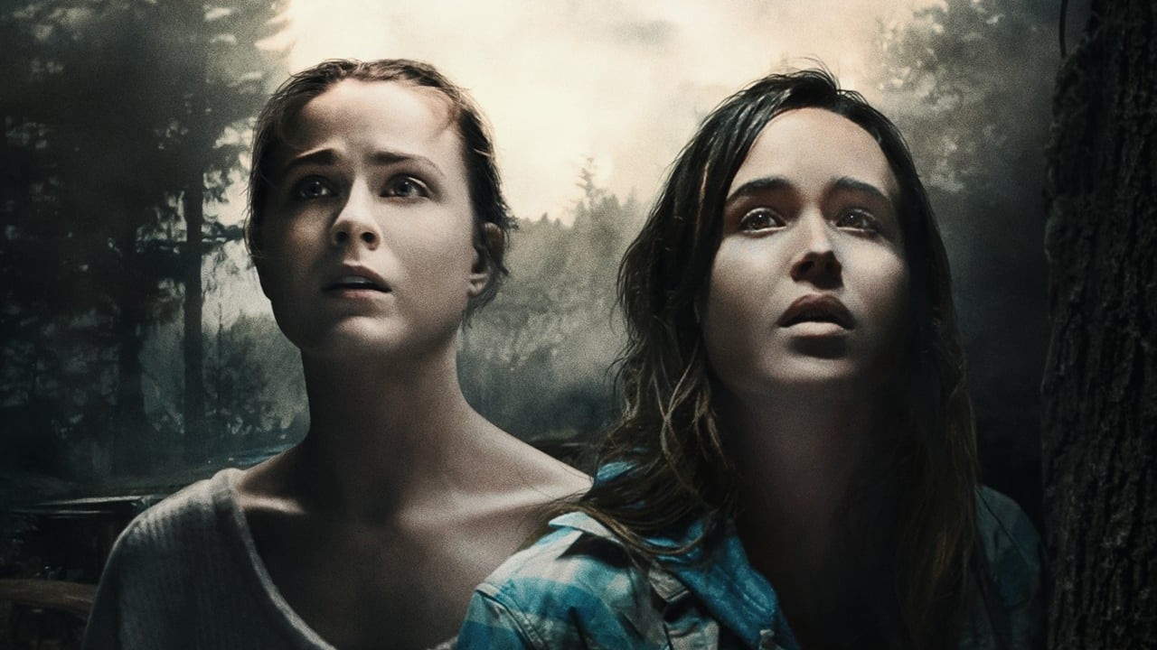 Into the Forest